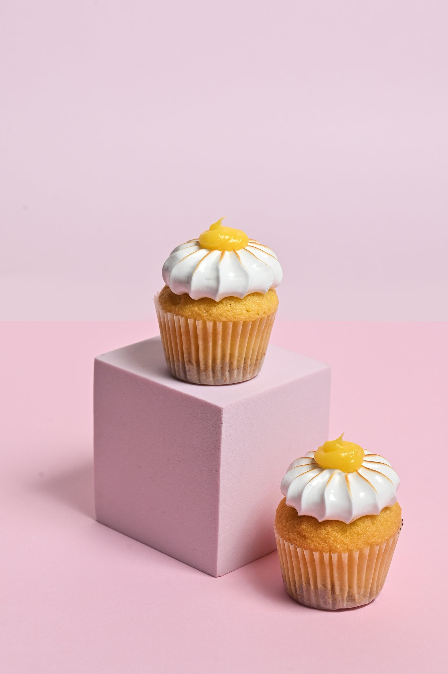 Lemon Cheesecake