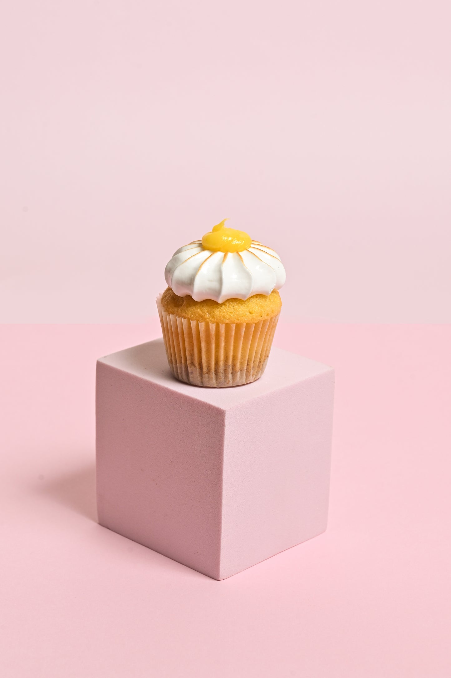 Lemon Cheesecake